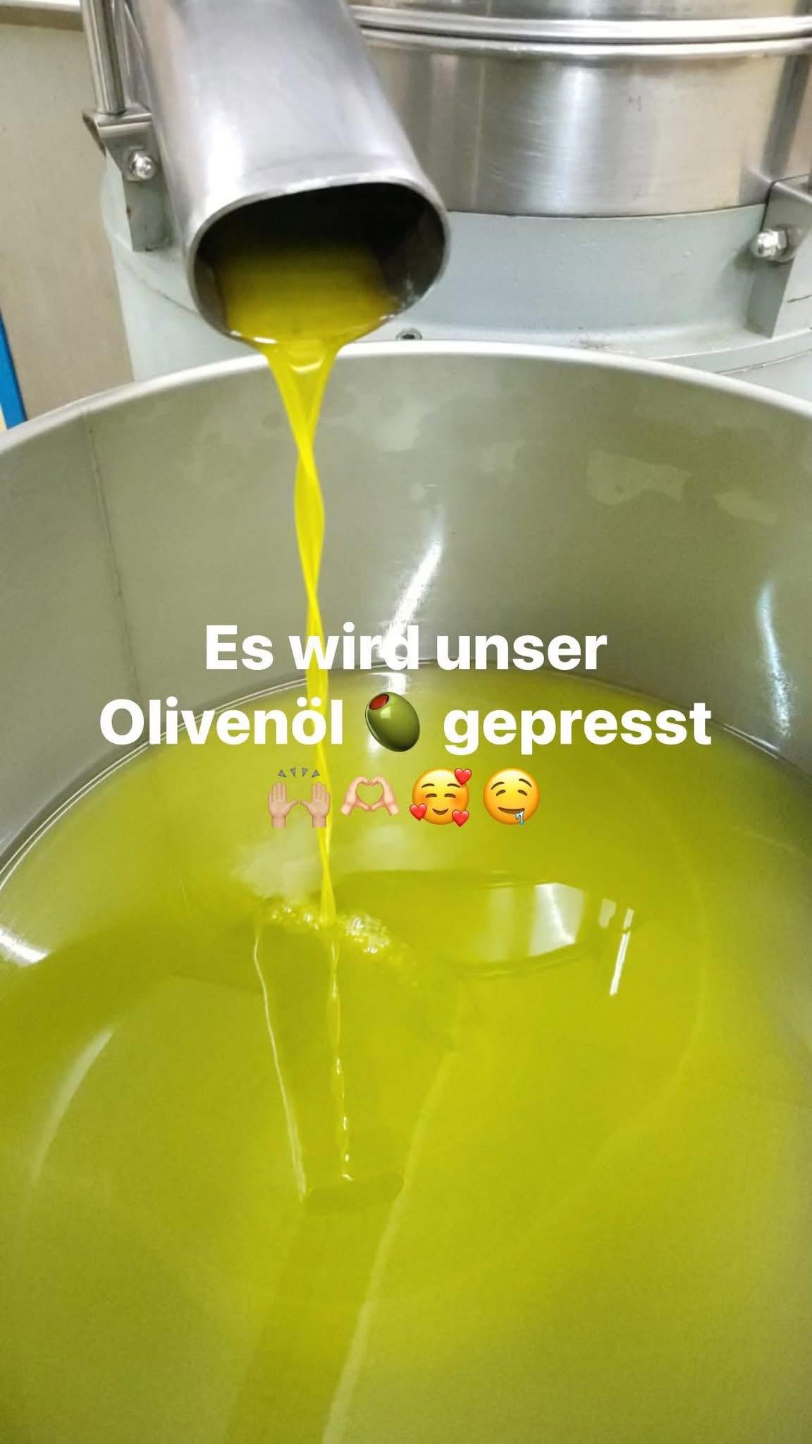 Frisches Olivenöl bei der Pressung