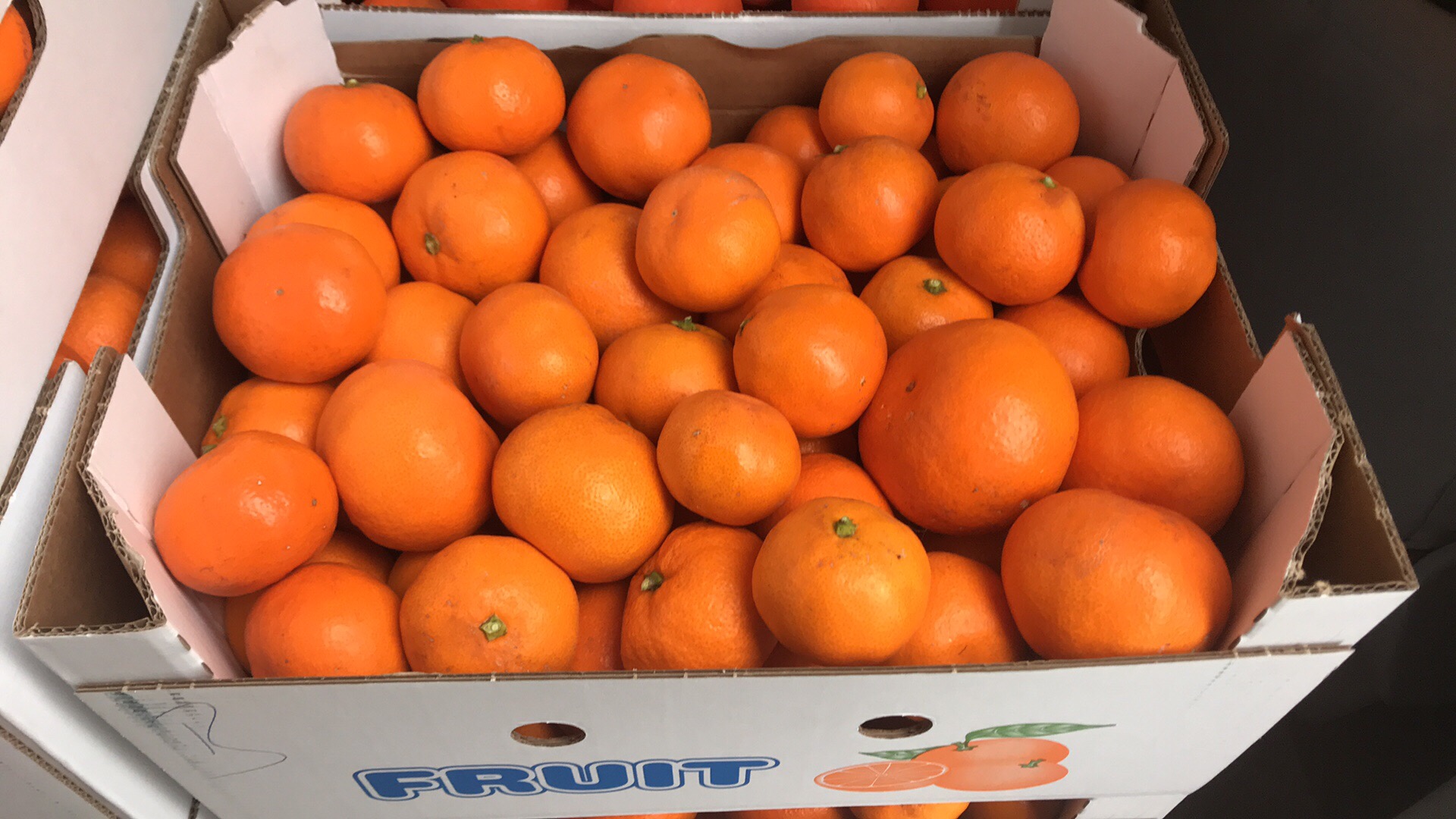 Frisch geerntete Mandarinen in einer Obstkiste